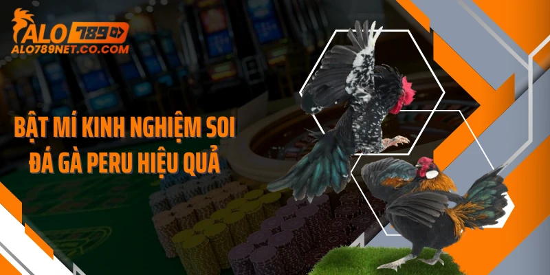 bat-mi-kinh-nghiem-soi-da-ga-peru-hieu-qua
