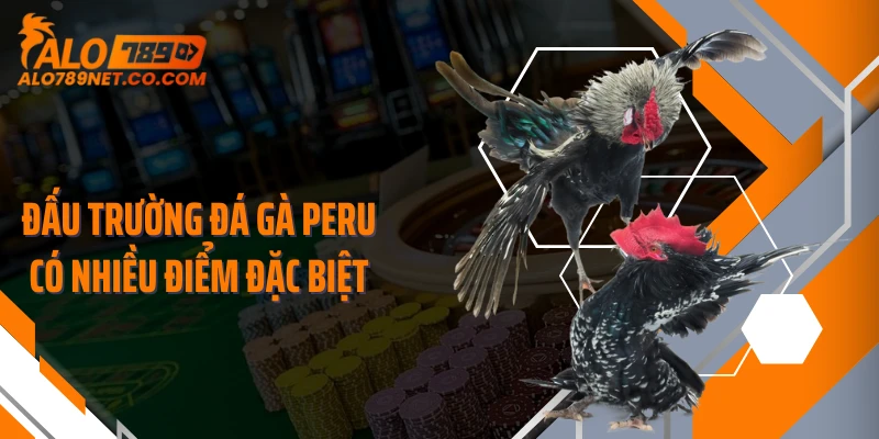 dau-truong-da-ga-peru-co-nhieu-diem-dac-biet