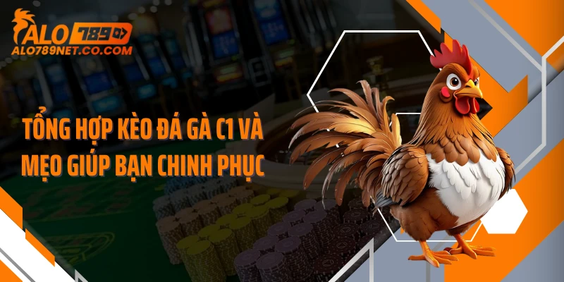 tong-hop-keo-da-ga-c1-va-meo-giup-ban-chinh-phuc